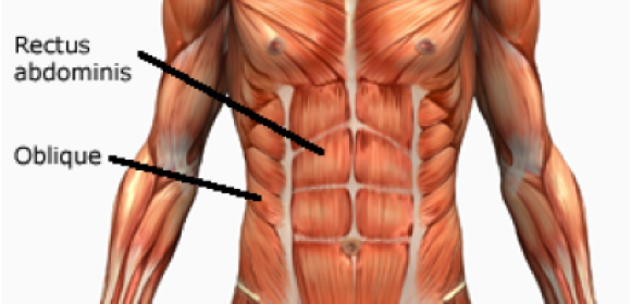 Can You Train Lower Abs Separately?