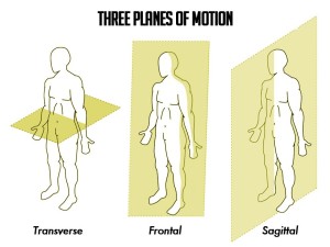 Planes-of-Motion