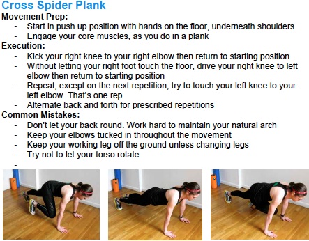 cross spider plank